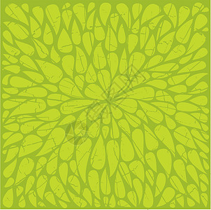 装饰花卉叶子纹理植被风格线条波浪状装饰品植物季节插图生长中风图片