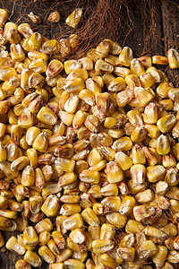 豆干玉米食物种子棒子农场植物粮食黄色农业谷物糖类图片