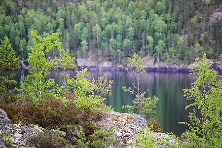 挪威丁夏湖风景廷舍松树电报图片
