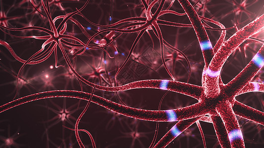 神经元抽象背景情感细胞解剖学科学脉冲纤维轴突头脑网络插图图片