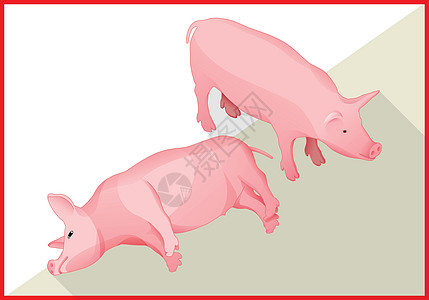 3d型猪基平板矢量3d图片