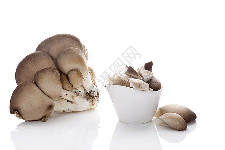 新鲜牡蛎蘑菇烹饪平菇蔬菜团体食物美食白色图片