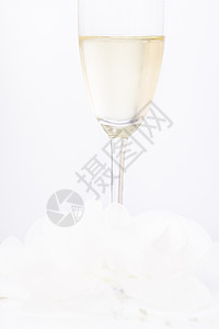 香槟杯白底的酒杯新年女性手指乐趣饮料成就胜利庆典气泡火花图片