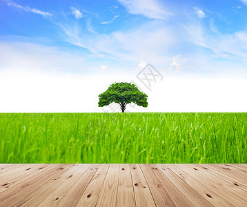 绿草和绿树码头农场农业森林爬坡牧场蓝色草地土地场景图片
