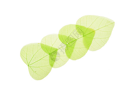 四颗绿色的心形 白色的叶子风格纤维艺术品装饰品装饰团体手工骨骼废料工艺图片