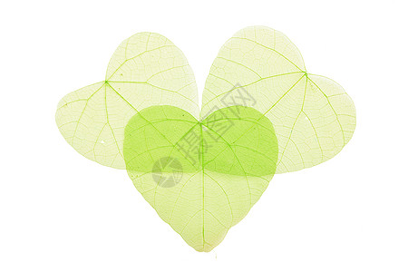 三个绿色的心形骨骼白叶图片