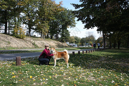 夫人和她的狗公园享受监护人宠物忠诚动物女士小狗休息背景图片