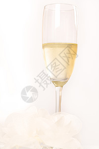香槟杯白底的酒杯干杯女性饮料周年婚礼液体胜利酒精生日乐趣图片