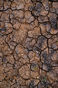 干燥 lan 中的土壤干旱和泥裂缝图片