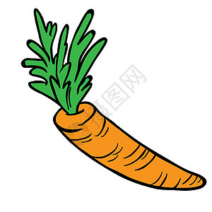 胡萝卜叶子食物花园沙拉卡通片营养农场产品橙子蔬菜图片