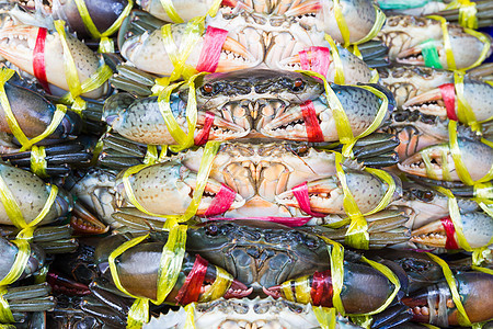 特写黑螃蟹或收缩泥蟹餐厅贝类甲壳食物美味橙子市场居住动物美食图片