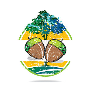 胡桃树花栗子椰子新鲜美味生活叶子种子植物网络健康饮食冰淇淋核桃树开心果核桃图片