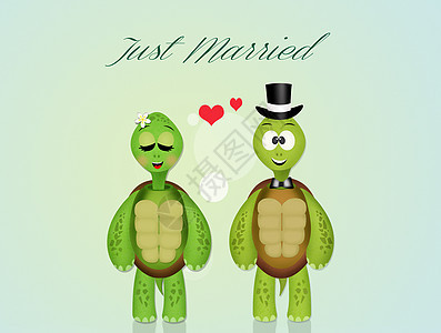 海龟的婚约快乐夫妻乌龟插图婚礼明信片配偶小动物婚姻庆典背景图片