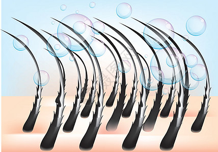 与泡泡和洗发水密闭在一起卫生毛孔细胞皮肤医疗头发气泡乳突药品科学图片