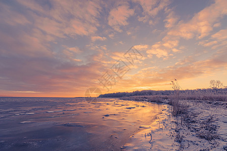 在一个冰冻的湖上升起天空支撑日落植物场景环境冻结日出太阳海滩图片