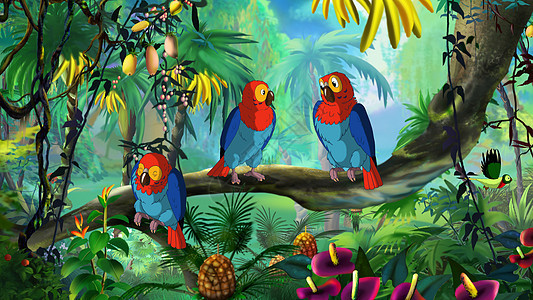 坐在一个分支上荒野宠物蓝色绿色色彩动物园尾巴热带红色鹦鹉图片