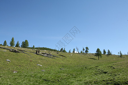 阿尔泰地区 俄罗斯山脉地貌自然地形假期爬坡旅游风景森林城市顶峰岩石图片