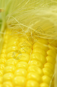 新鲜玉米在 co 上的细节拍摄食物农业粮食绿色种子产品核心黄色收成农场图片