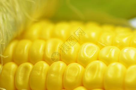 新鲜玉米在 co 上的细节拍摄产品农场收成绿色种子营养食物宏观蔬菜黄色图片