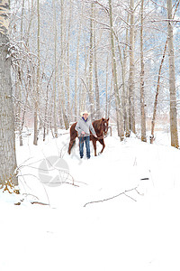 冬季牛仔牛仔裤动物统治树木男人毛衣帽子家畜森林马术图片