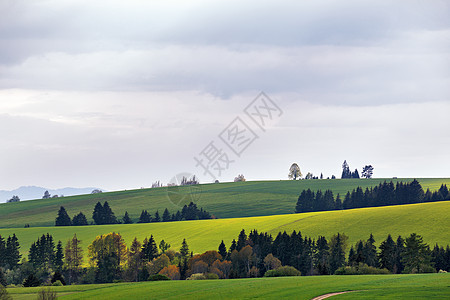 斯洛伐克的绿春山 5月国家农村山坡场地树木森林植物灌木丛旅行爬坡图片