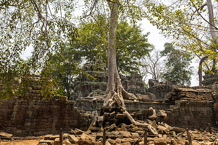 柬埔寨吴哥渡塔普罗姆寺图片
