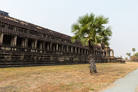 柬埔寨吴哥渡寺旅游雕像丛林历史纪念碑雕塑佛教徒地标高棉语废墟图片
