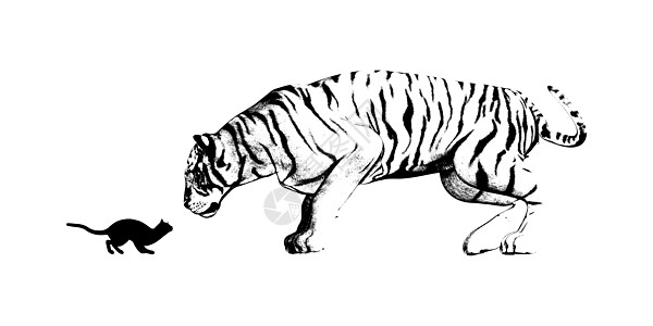猫和老虎镜像图片