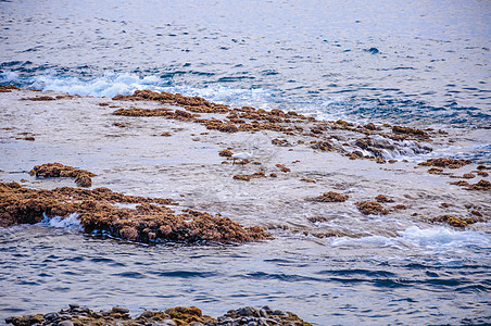 在西班牙特纳里夫的石块之间走在水中火山沼泽苍鹭公园白鹭天空翅膀海滩动物石头图片