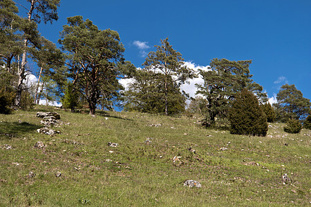 德国轨迹上小路草地旅游登山鞋自然公园树木岩石蓝天峡谷天空图片