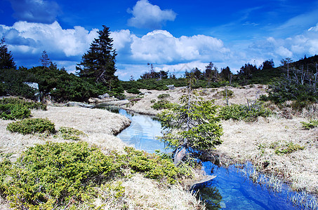 充满河流 森林 多云天空的春天风景反射天气海滩岩石悬崖旅游针叶林石头钓鱼场景图片