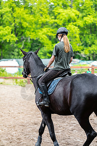 女运动员骑马障碍展示马术女性舞步训练冠军哺乳动物女骑士运动图片