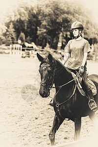 女运动员骑马舞步展示冠军训练骑手女性哺乳动物女骑士骑术马术图片