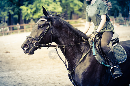 女运动员骑马赛车女骑士女士骑手冠军马背障碍竞赛比赛展示图片