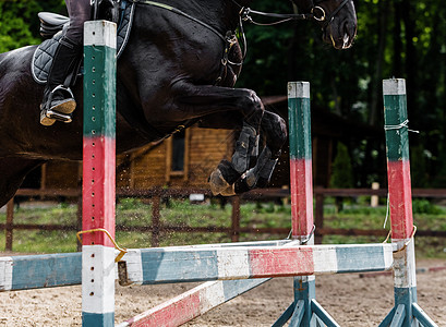 骑马的运动员克服障碍女骑士运动骑术赛车动物马术比赛哺乳动物展示骑手图片