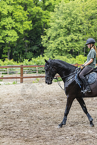 女运动员骑马马术障碍舞步女性女骑士展示冠军动物骑手训练图片