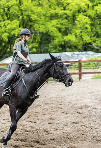 女运动员骑马骑手女性展示竞赛女骑士骑术运动障碍行动马术图片