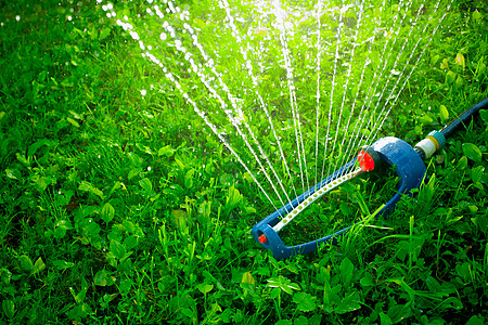 草坪喷洒器在绿草上浇灌水洒水器技术院子自然灌溉背光花园软管管道水滴图片
