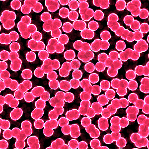 红单元格背景生物学红色药品微生物学宏观医疗黑色插图细菌背景图片