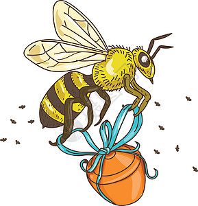 蜜蜂携带蜜罐绘图图片