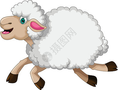 有趣的绵羊卡通女性幸福羊毛家畜眼睛尾巴哺乳动物漫画场地插图图片