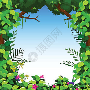 用于设计设计的绿林绘画森林资源插图木材植物蓝色灌木丛丛林山顶图片