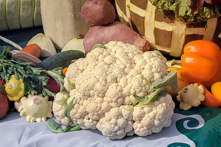 蔬菜收成在集市出售季节村庄南瓜土豆维生素农民食物交易农业价格图片