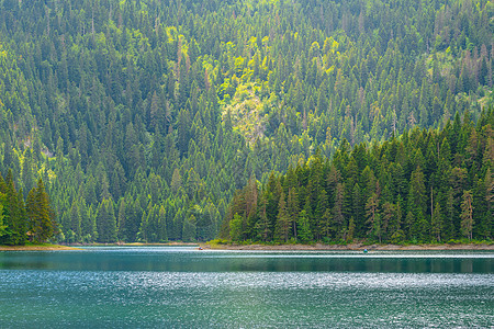 美丽的黑湖 绿森林和清晨的美丽山丘 国家公园Durmitor 黑山公园环境顶峰天空岩石晴天旅行国家场景蓝色图片