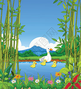 带湖和风景背景的摇鸭卡通游泳图片