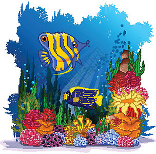 有海洋生物背景的天使鱼野生动物艺术品海滩蓝色潜水游泳异国宠物身体海洋图片