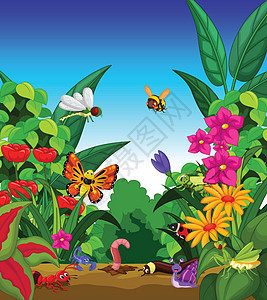 花园中昆虫的收集花朵甲虫野生动物卡通片蜜蜂翅膀瓢虫收藏蜘蛛蚂蚁图片