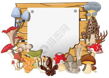 不同种类的蘑菇 有木头和空白符号图片