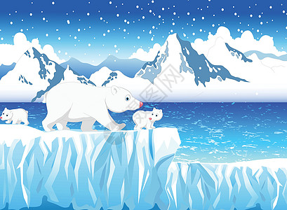 冰雪山地貌背景的风趣北极熊家庭雪山地景观背景图片