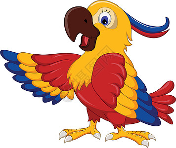 演唱着可爱的鹦鹉漫画翅膀白色热带红色卡通片金刚鹦鹉橙子眼睛图片